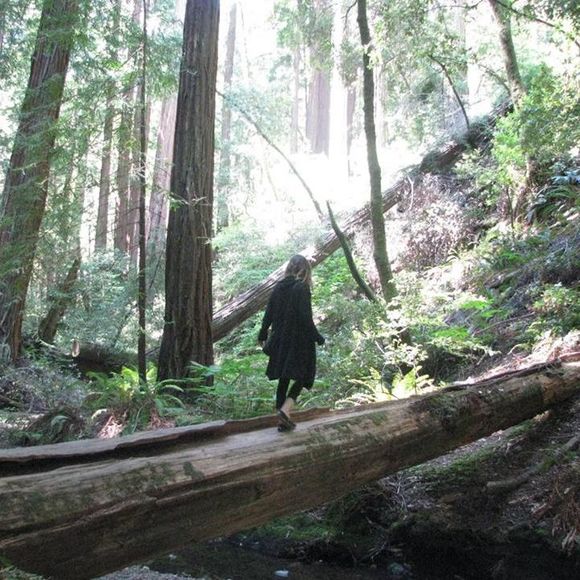 Meet your Posher, Mandy - Picture 1 of 1